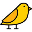 Birdle Game