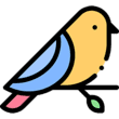 Birdle