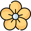 Blossom